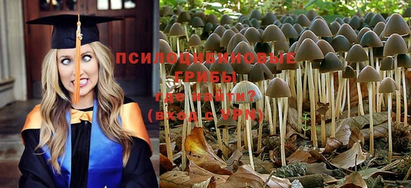ALPHA PVP Струнино