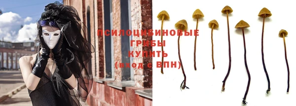 ALPHA PVP Струнино