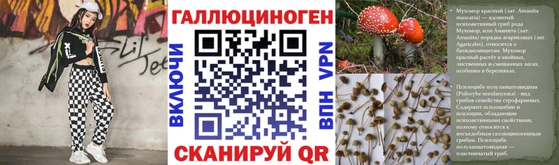 Псилоцибиновые грибы мицелий  мориарти телеграм  Дыгулыбгей  купить наркоту  кракен как зайти 